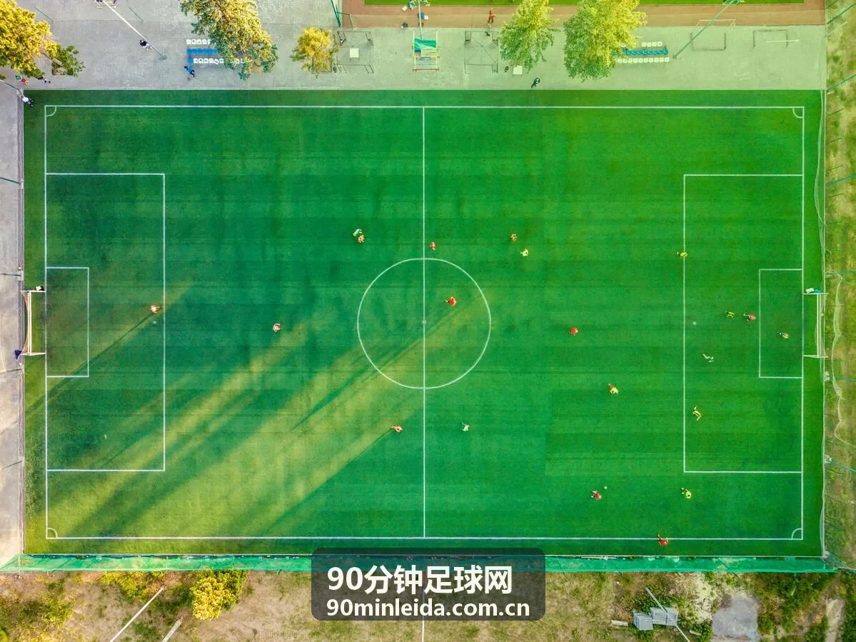 帕尔默球员头像